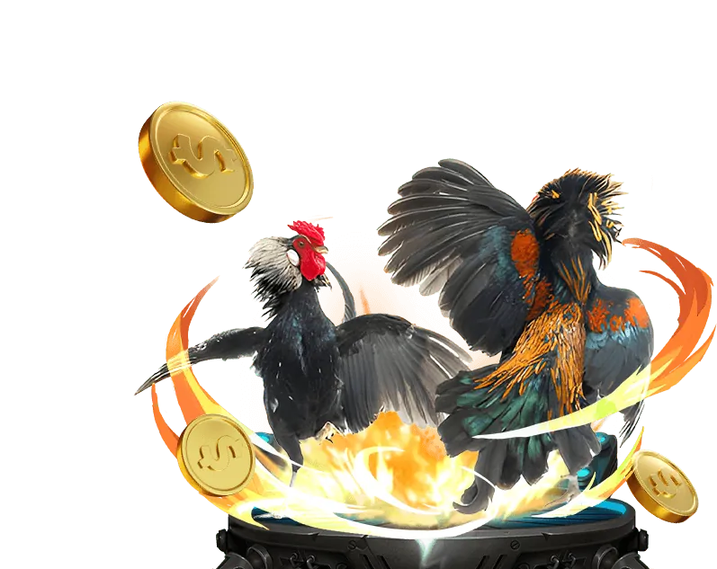 58vin win Đa dạng trò chơi